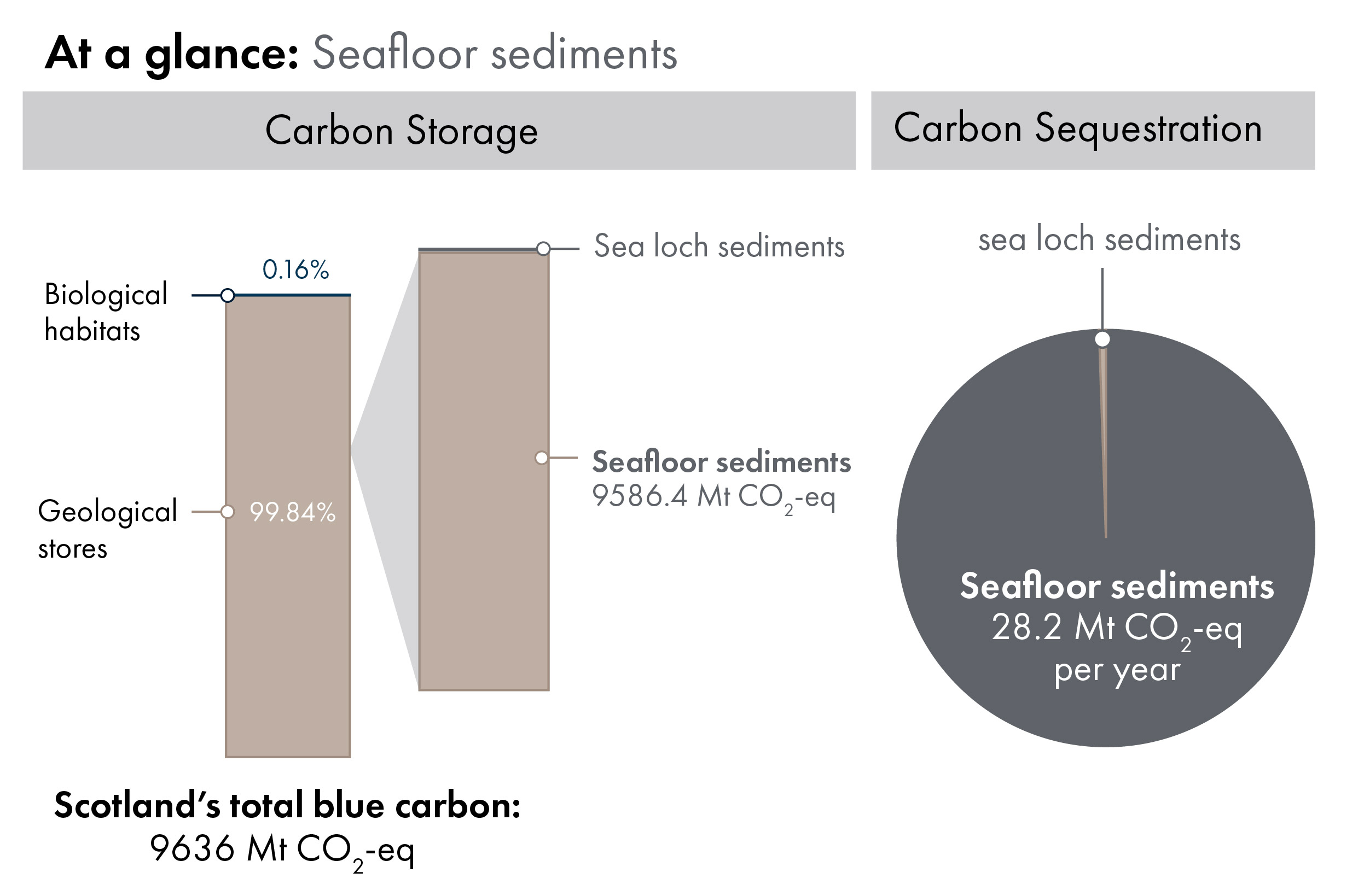 Bar charts showing the proportion of Scotland's blue carbon which is in geological stores (99.84%) versus carbon in biological habitats and species (0.16%). Inset bar chart shows the proportion of carbon in geological stores which is seafloor sediment carbon storage (9,586.4 megatonnes of carbon dioxide equivalent). Pie chart showing, out of all geological stores, the proportion which is sequestered annually by seafloor sediments.